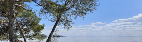 järvimaisema