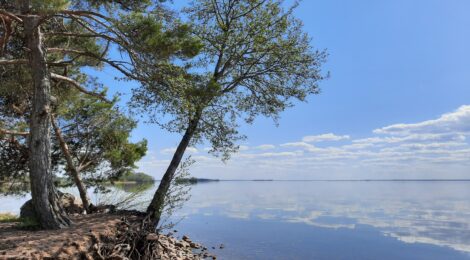 järvimaisema
