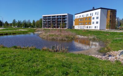 Improving the quality management of the Papinpelto stormwater wetland in Rauma Urban Area