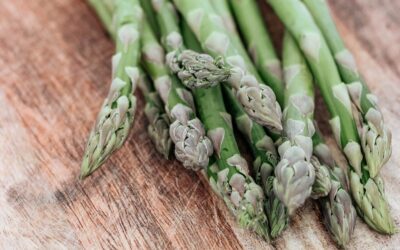 The development of supply and cultivation of asparagus in Satakunta region