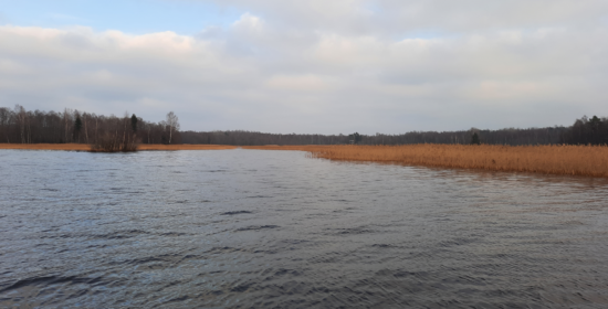 Supporting biodiversity in Lake Pyhäjärvi shore areas by restoring and enhancing habitats (Rikkaat rannat)