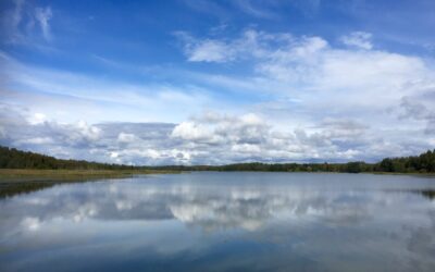 Towards effective management of Lake Köyliönjärvi via restoration planning