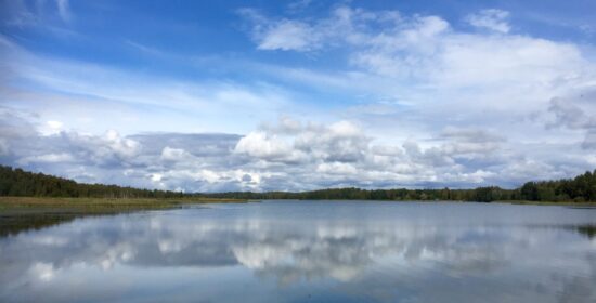 Towards effective management of Lake Köyliönjärvi via restoration planning