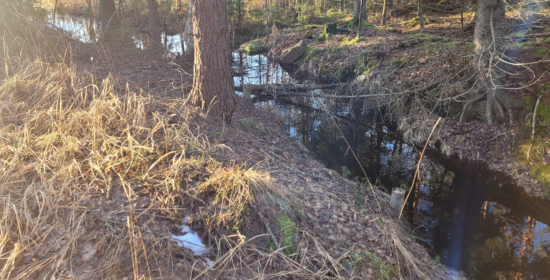 Sustainable water management in forestry (VesiKestävä)