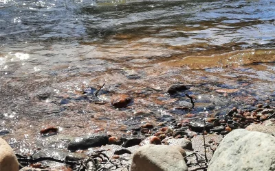 Satavesi virtaa – paikallisvedet paremmiksi