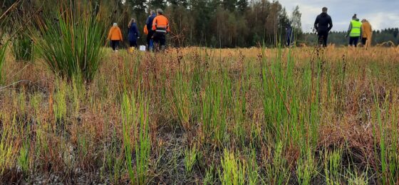 Mitä turvetuotannon jälkeen? – jatkokäytön mahdollisuudet