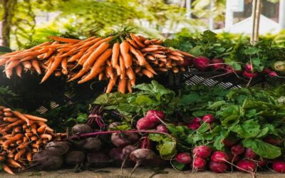 Closer to the plate – Lähempää lautaselle