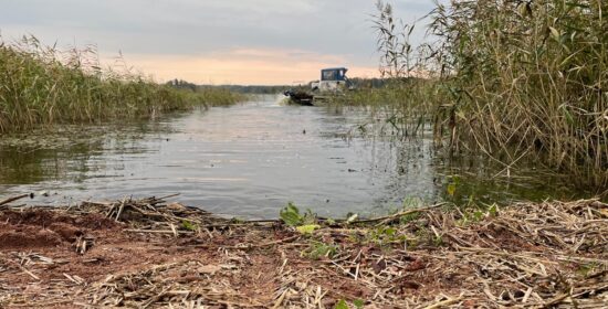 Köyliönjärven niittojen yleissuunnitelma