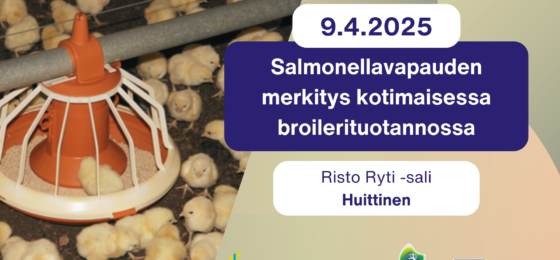 Salmonellavapauden merkitys kotimaisessa broilerituotannossa