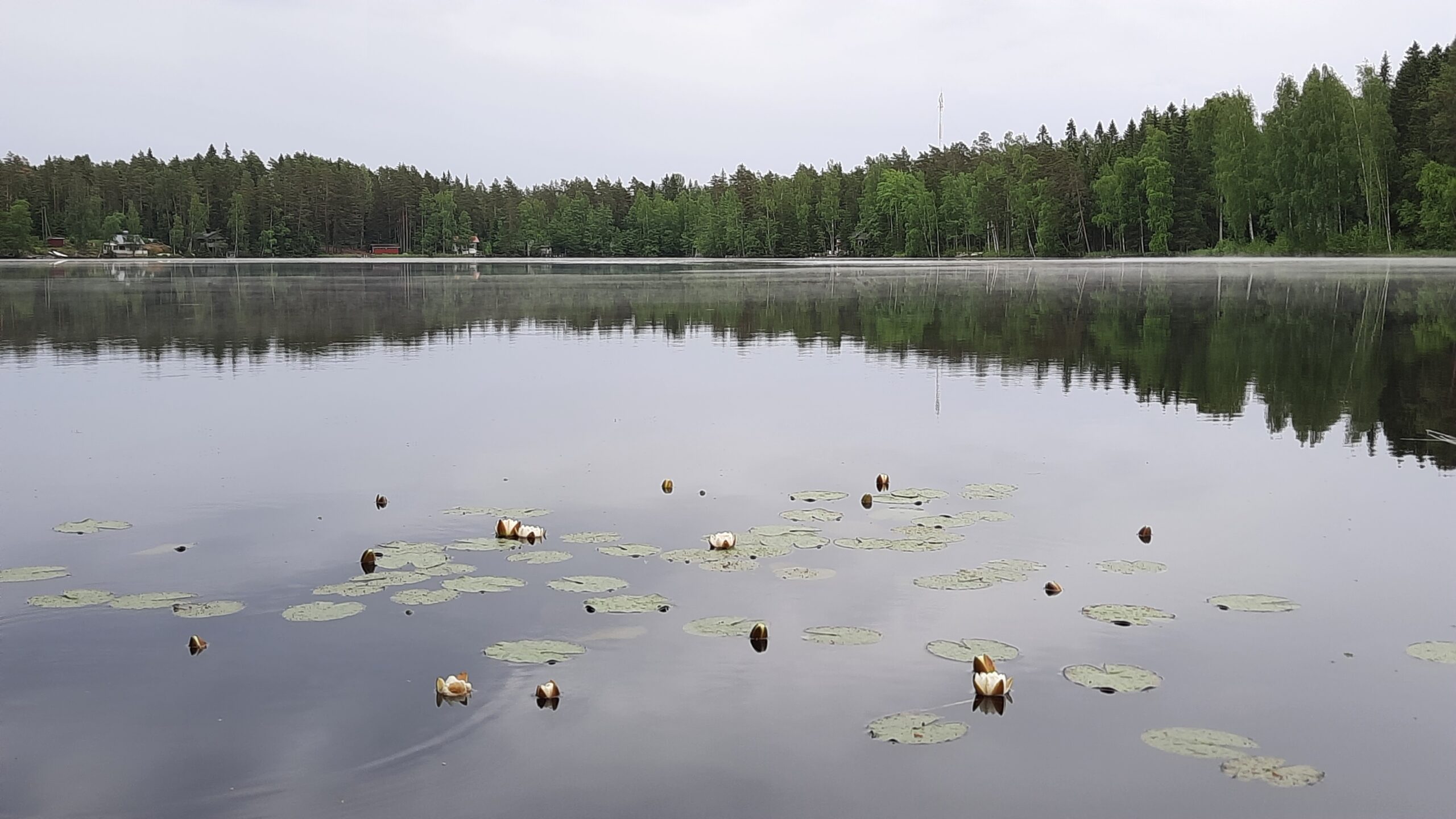 Loukostenjärvi