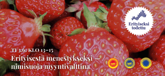 Erityisestä menestykseksi – nimisuoja myyntivalttina -webinaari