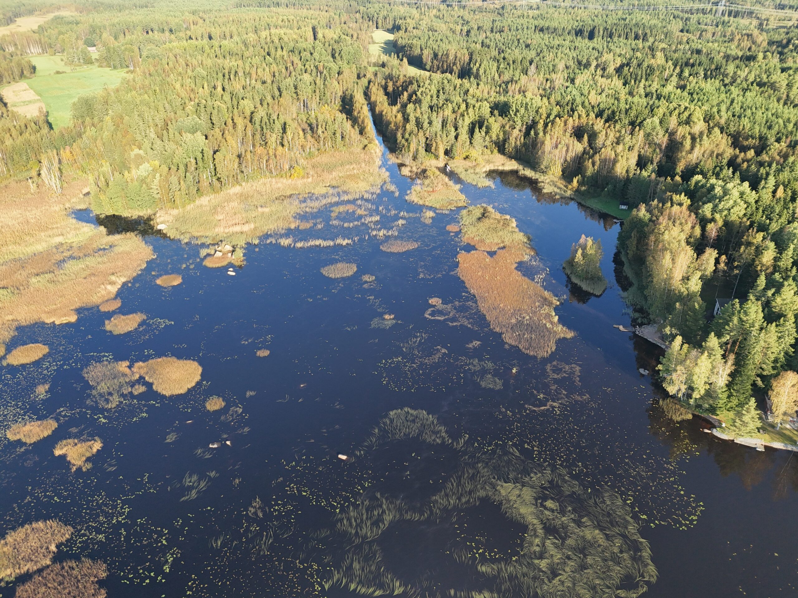 Turajärvimaisema