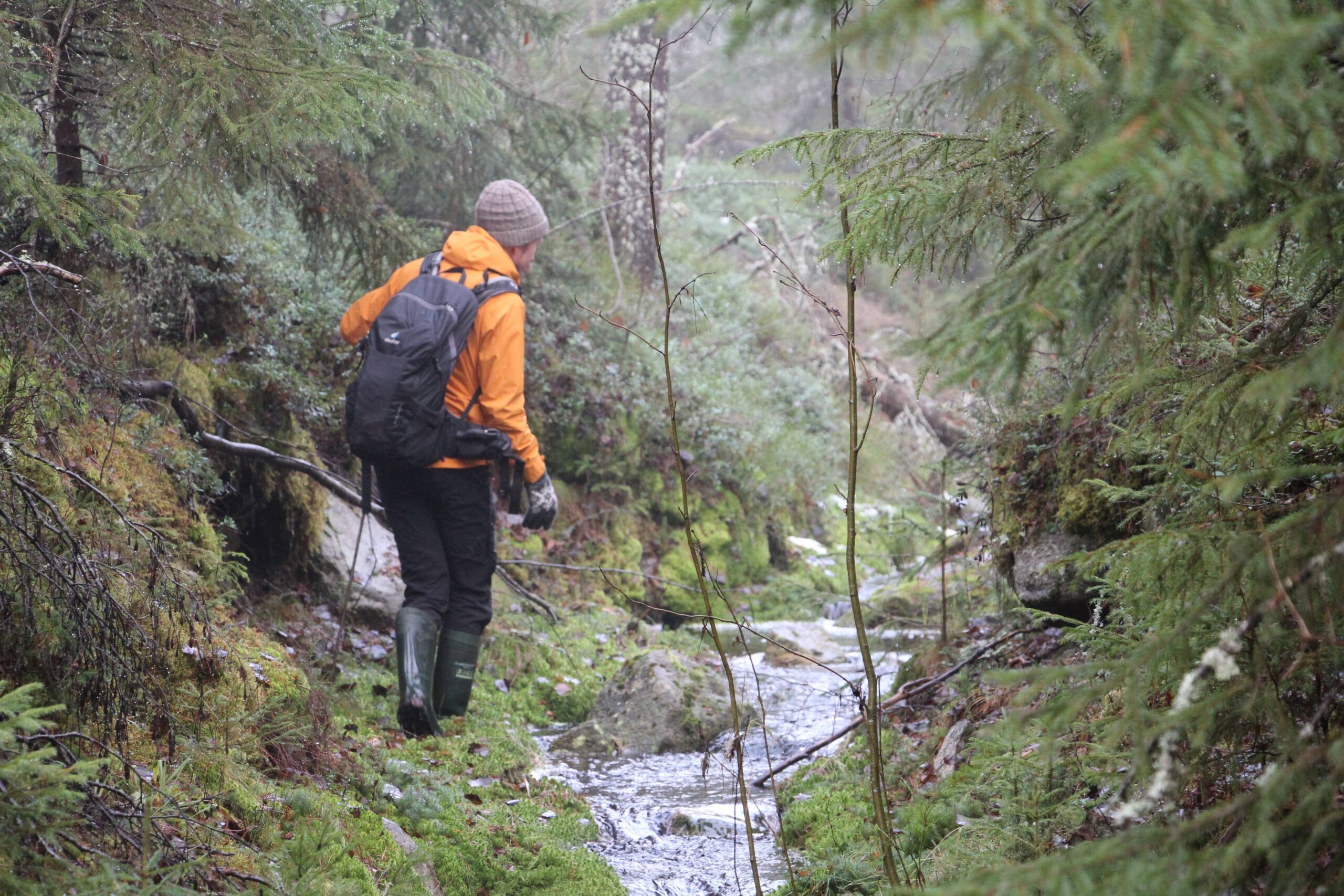 maastotarkastelua ojavarressa