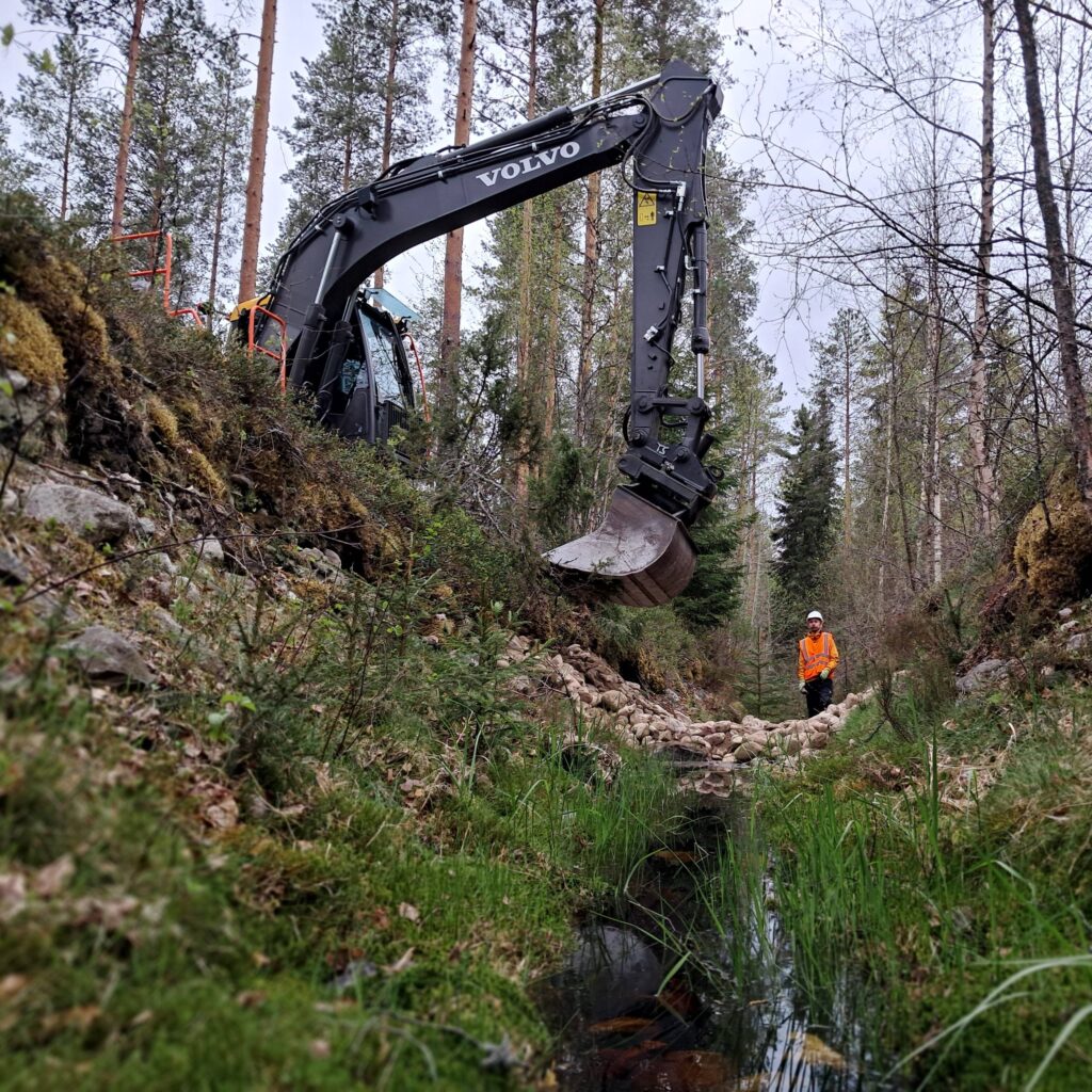 kaivuri kaivaa metsäojalla
