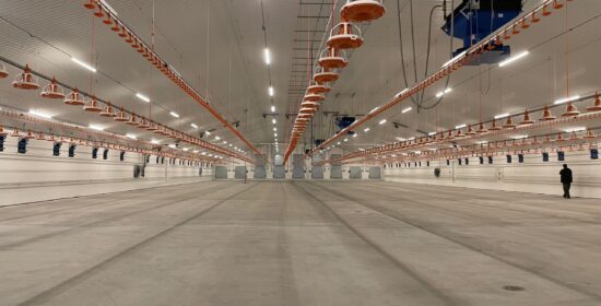 Lounaissuomalaisen vastuullisen ja bioturvallisen broilerin kasvatustavan kehittäminen