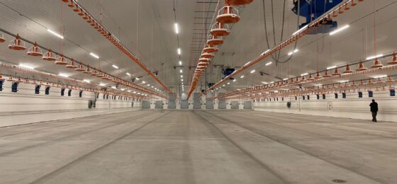 Satakuntalaisten ja varsinaissuomalaisten tilojen broilerintuotantoa kehitetään uuden hankkeen avulla