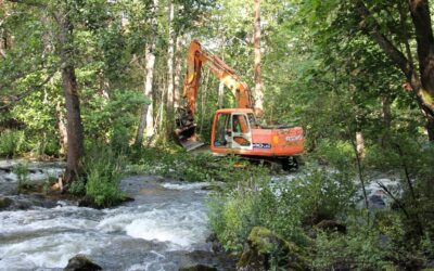 Taimenvirta – Eurajoen vesistöalueen taimenvesien kehittäminen ja seuranta