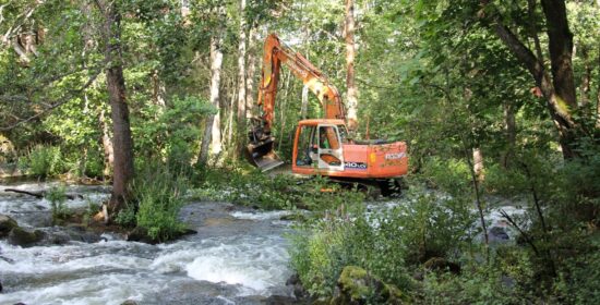 Taimenvirta – Eurajoen vesistöalueen taimenvesien kehittäminen ja seuranta