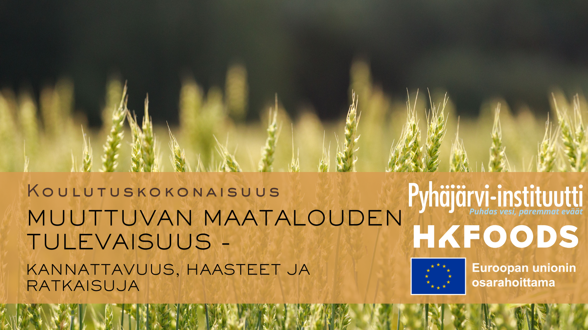 koulutuskokonaisuusbanneri