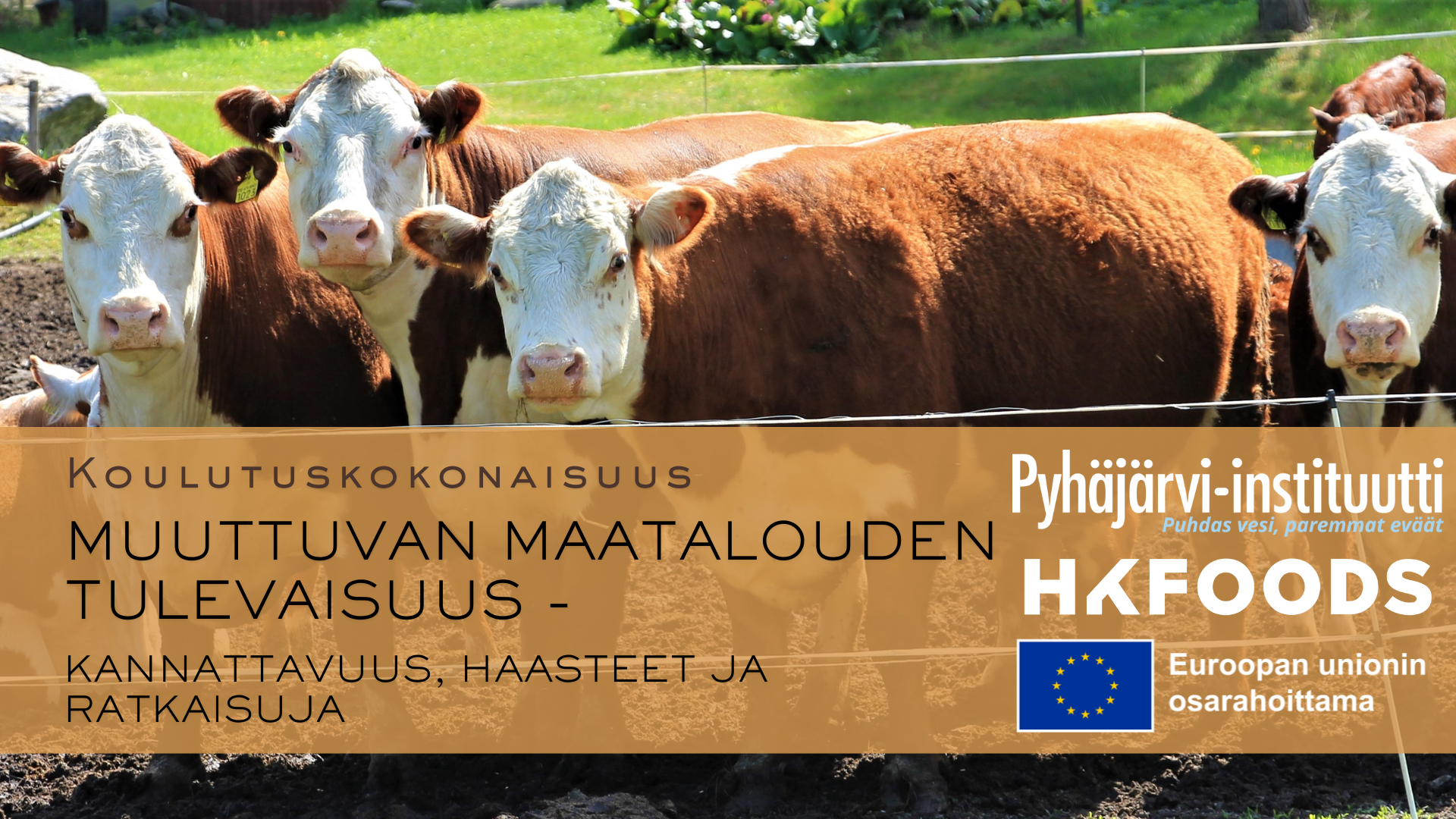 koulutuskokonaisuusbaneri