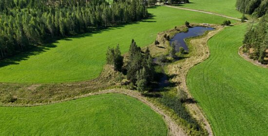 Vesienhallinnan vahvistaminen Yläneenjoen valuma-alueella (Vesiperä)