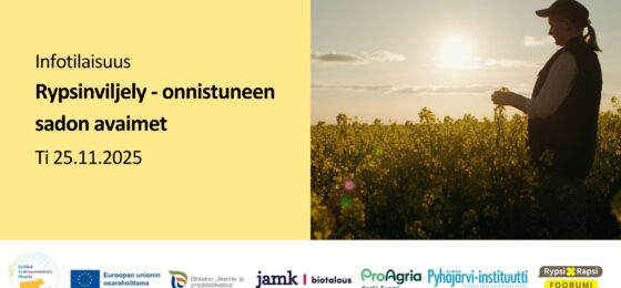 Rypsinviljely – onnistuneen sadon avaimet