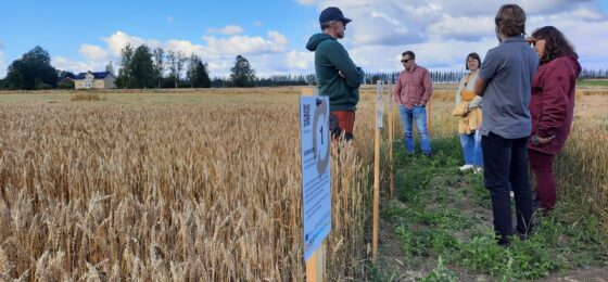 Sivuvirroista ratkaisuiksi maaperän terveyttä parantamaan