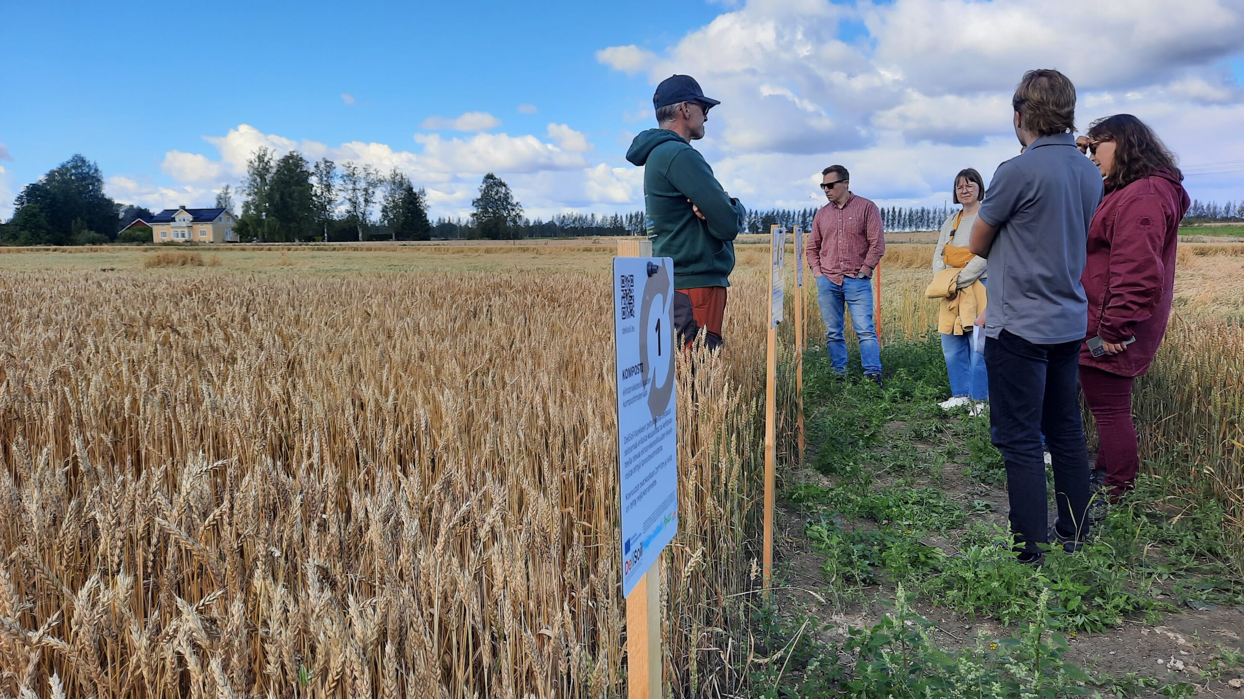 20250826_154233 ihmisiä pellon laidalla
