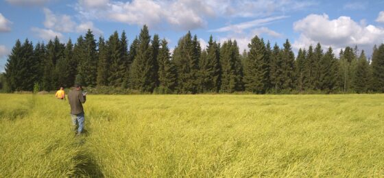 Öljykasviseminaari 2026