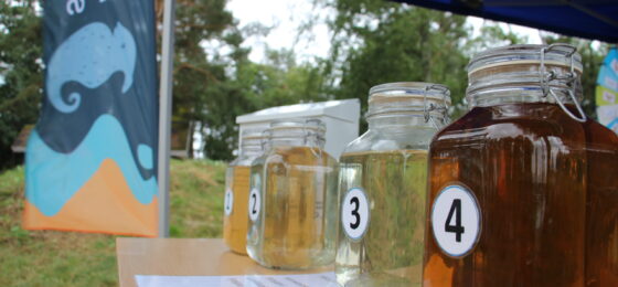 JOKIohjelma Eurajoen Markkinoilla
