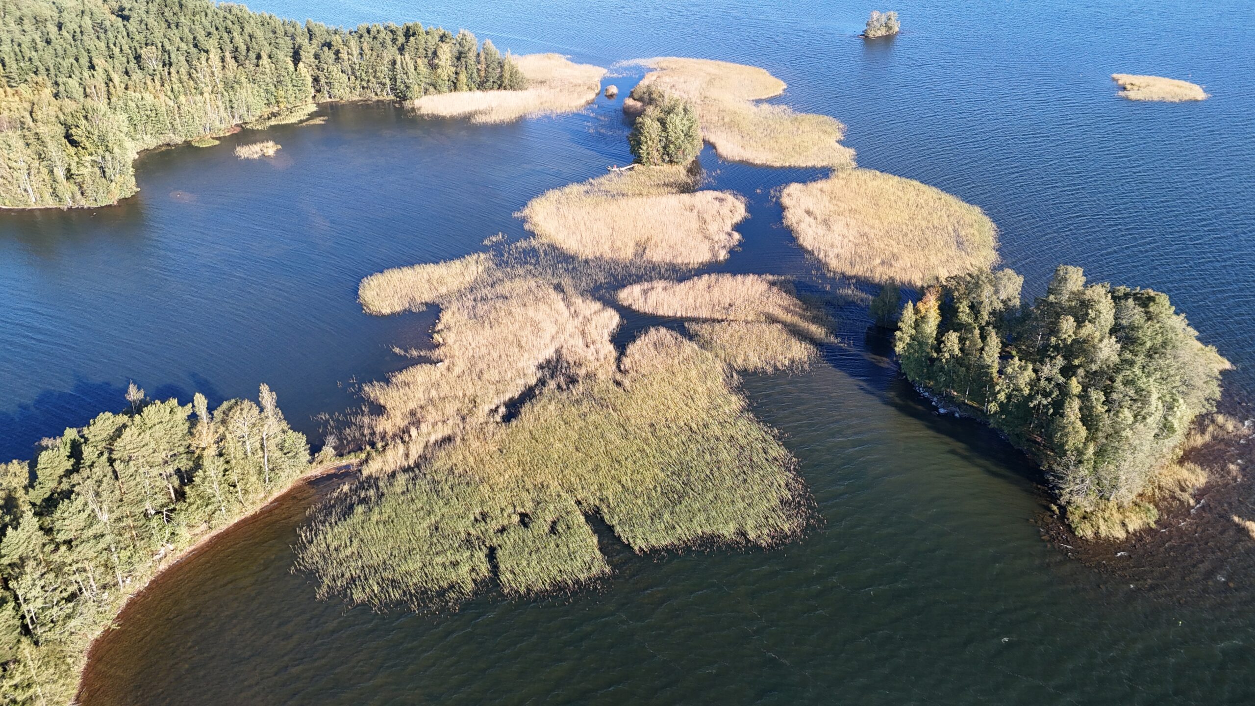 Iissalo