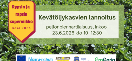 Kevätöljykasvien lannoitus -pellonpiennar Inkoossa