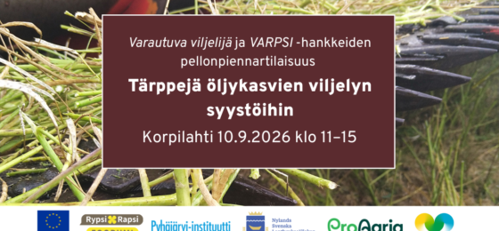 Tärppejä öljykasvien viljelyn syystöihin -pellonpiennartilaisuus Korpilahdella