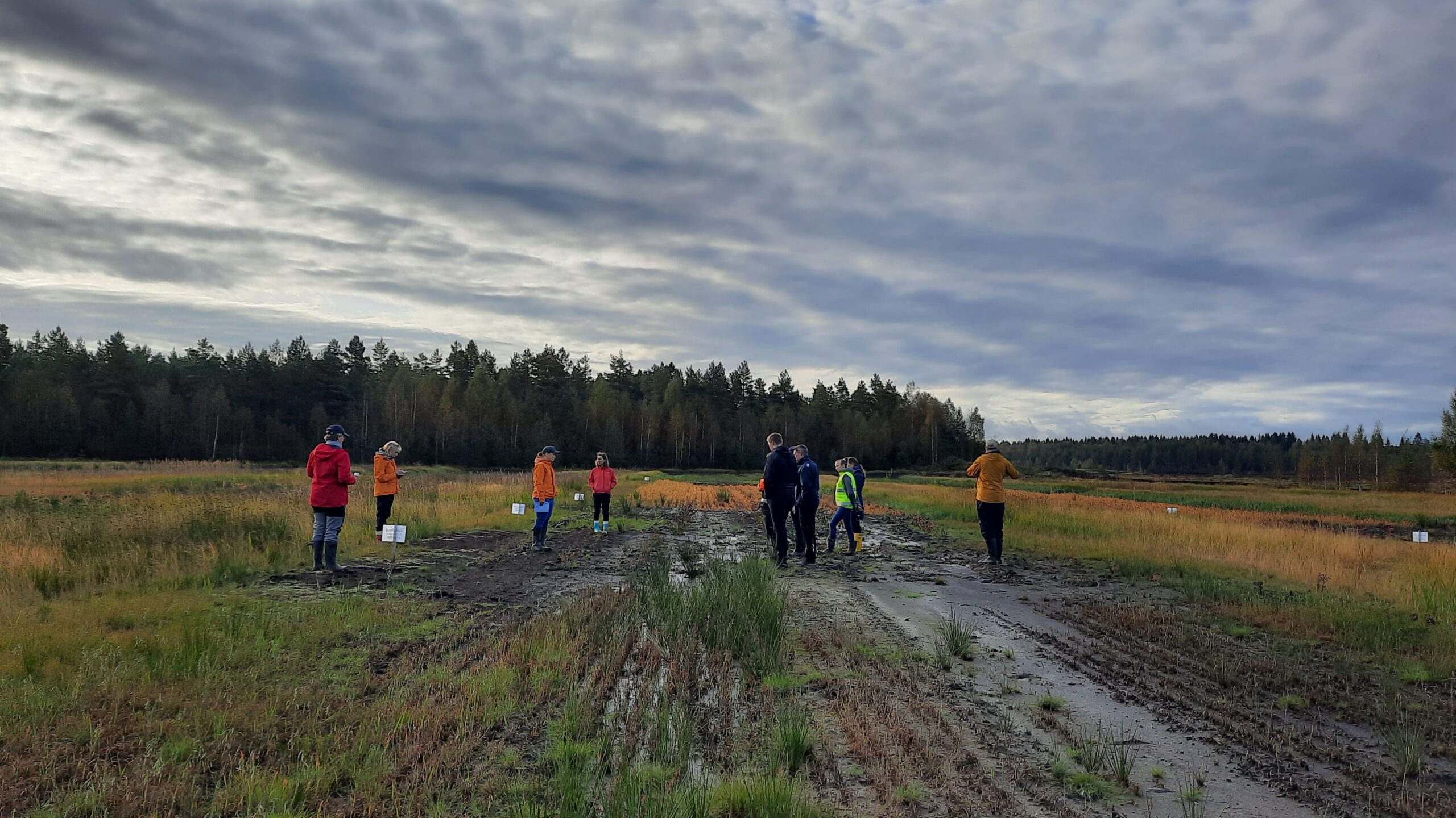ihmisiä suolla suonreunainfossa